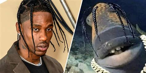 travis scott fish|What’s the deal with Travis Scott being likened to a fish  .